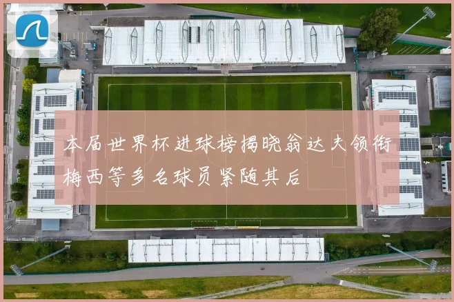 本届世界杯进球榜揭晓翁达夫领衔梅西等多名球员紧随其后