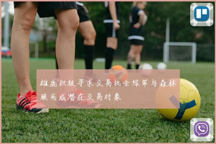 雄鹿积极寻求交易机会绿军与森林狼或成潜在交易对象